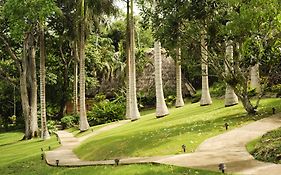 The Lodge At Chaacreek